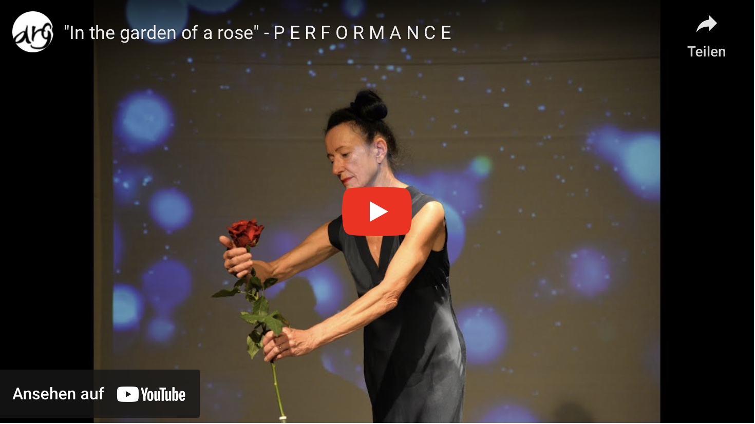 In the garden of a rose